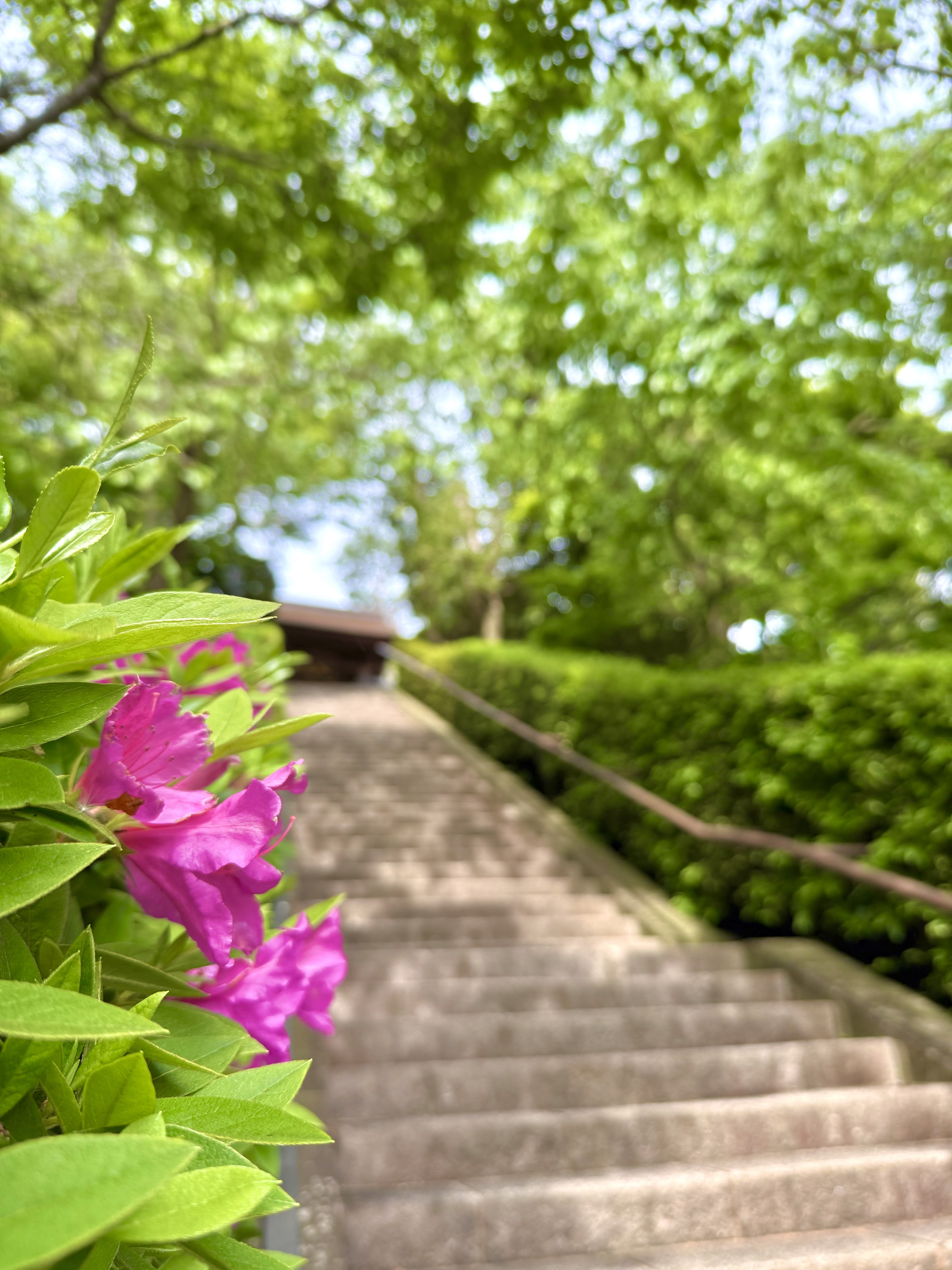 風景